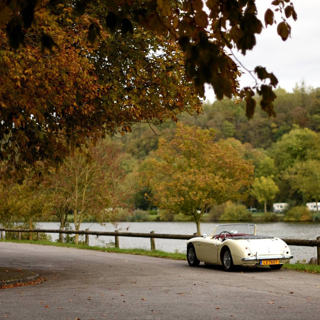 An Autumn run down "Route de Vin'"